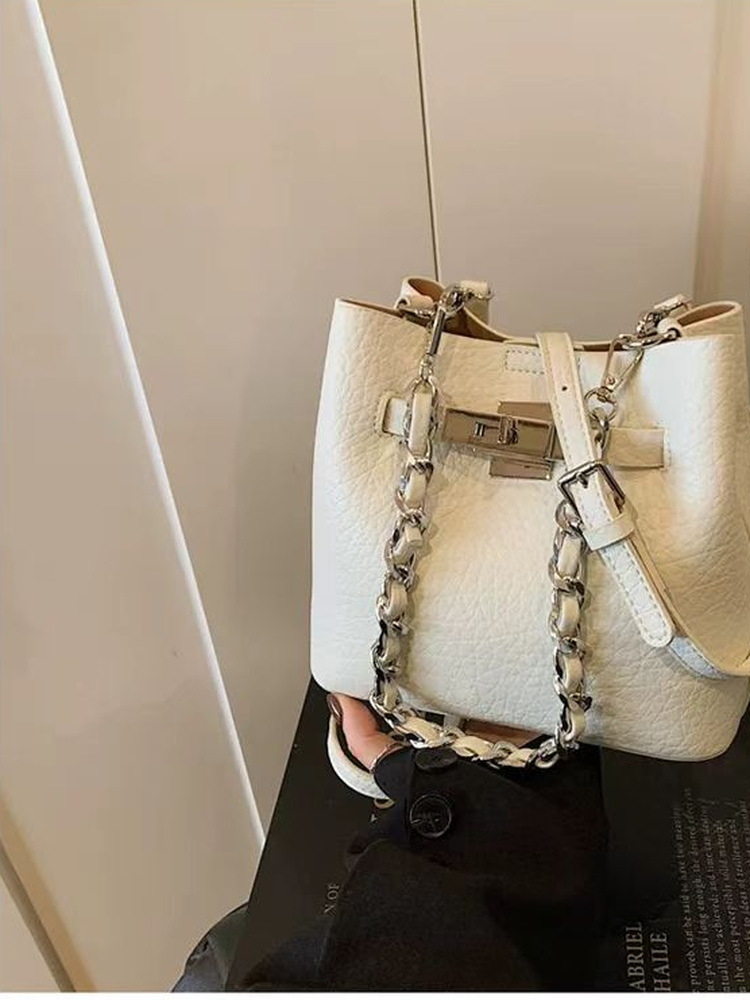 트렌디한 여성용 버킷백 크로스바디 체인 핸들 중간 사이 - Luxury Bags Medium Size 리뷰 및 가격