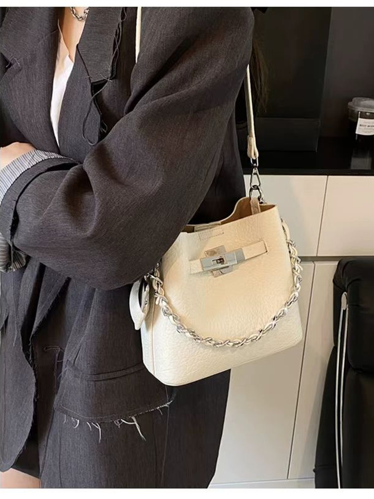 트렌디한 여성용 버킷백 크로스바디 체인 핸들 중간 사이 - Luxury Bags Medium Size 리뷰 및 가격