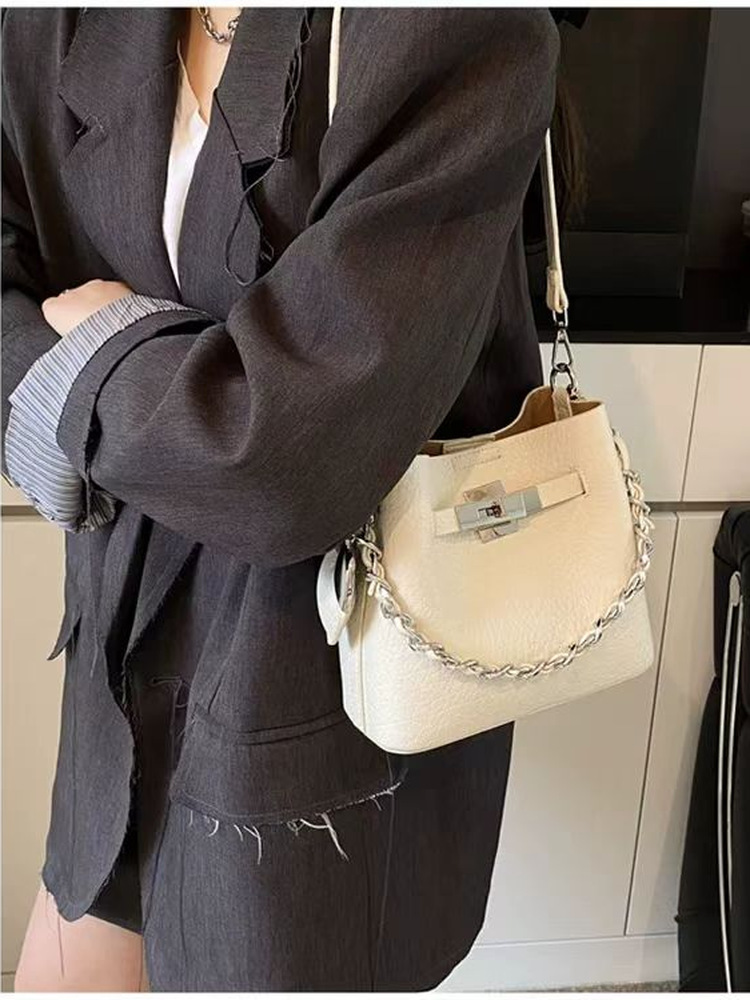 트렌디한 여성용 버킷백 크로스바디 체인 핸들 중간 사이 - Luxury Bags Medium Size 리뷰 및 가격